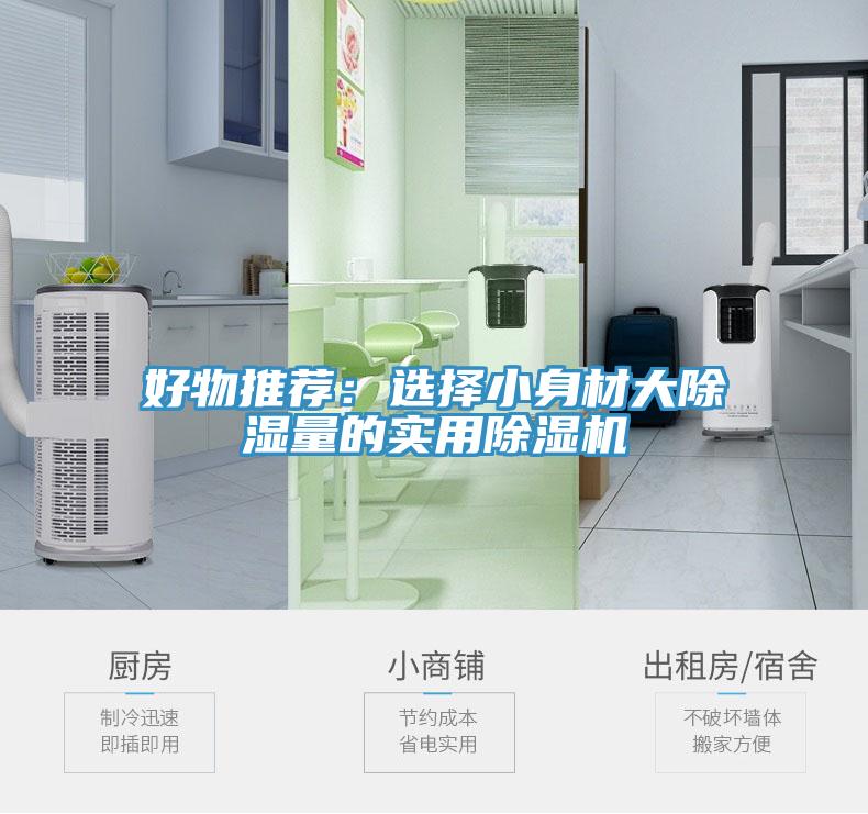 好物推薦：選擇小身材大除濕量的實用草莓视频污污污污