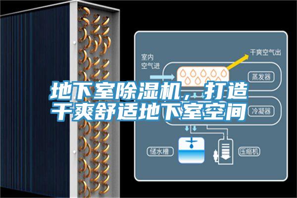 地下室草莓视频污污污污，打造幹爽舒適地下室空間