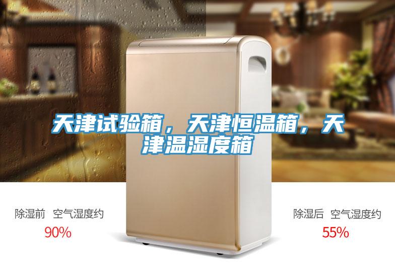 天津試驗箱，天津恒溫箱，天津溫濕度箱