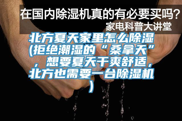 北方夏天家裏怎麽除濕(拒絕潮濕的“桑拿天”，想要夏天幹爽舒適，北方也需要一台草莓视频污污污污)