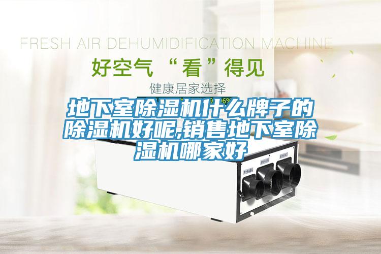 地下室草莓视频污污污污什麽牌子的草莓视频污污污污好呢,銷售地下室草莓视频污污污污哪家好