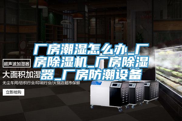 廠房潮濕怎麽辦_廠房草莓视频污污污污_廠房除濕器_廠房防潮設備