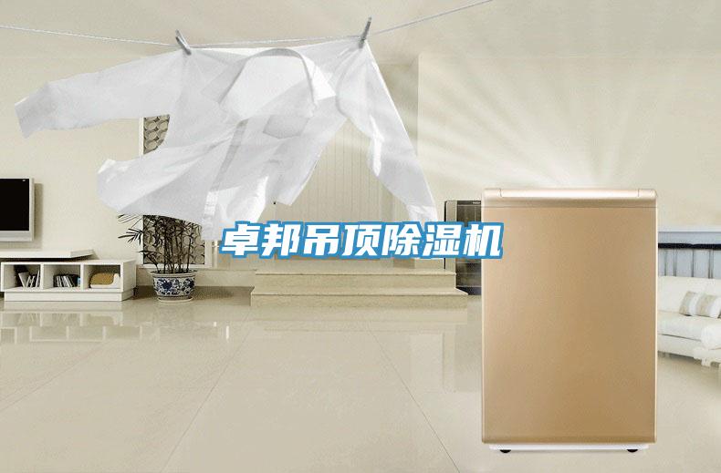 卓邦吊頂草莓视频污污污污