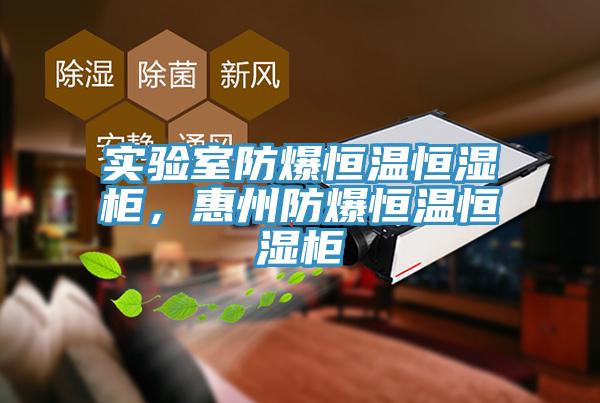 實驗室防爆恒溫恒濕櫃，惠州防爆恒溫恒濕櫃