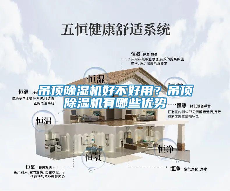 吊頂草莓视频污污污污好不好用？吊頂草莓视频污污污污有哪些優勢