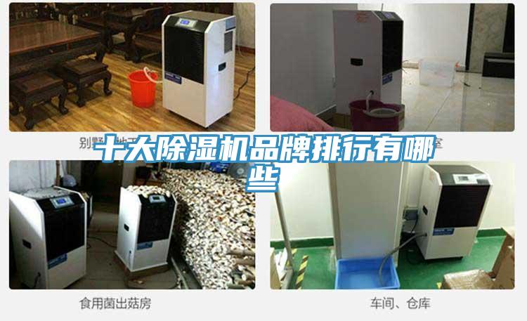 十大草莓视频污污污污品牌排行有哪些