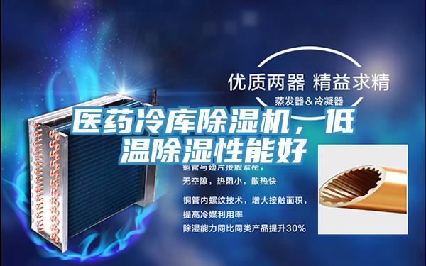 醫藥冷庫草莓视频污污污污，低溫除濕性能好