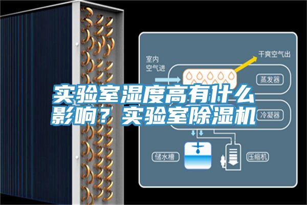 實驗室濕度高有什麽影響？實驗室草莓视频污污污污