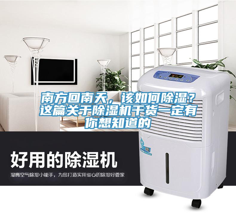南方回南天，該如何除濕？這篇關於草莓视频污污污污幹貨一定有你想知道的