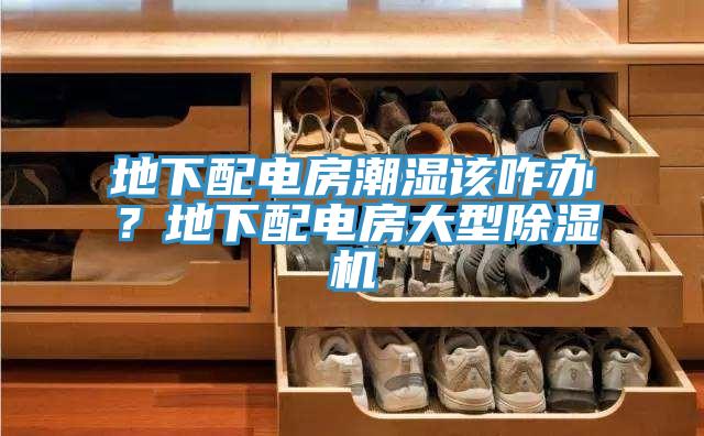 地下配電房潮濕該咋辦？地下配電房大型草莓视频污污污污