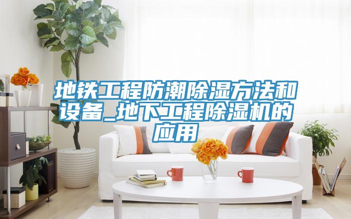 地鐵工程防潮除濕方法和設備_地下工程草莓视频污污污污的應用