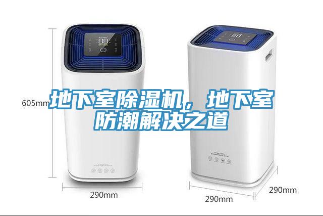地下室草莓视频污污污污，地下室防潮解決之道