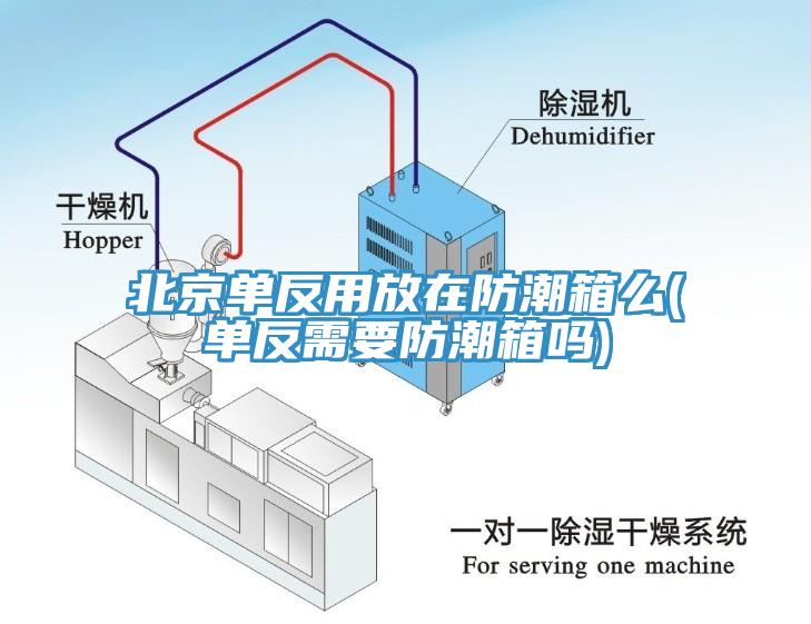 北京單反用放在防潮箱麽(單反需要防潮箱嗎)