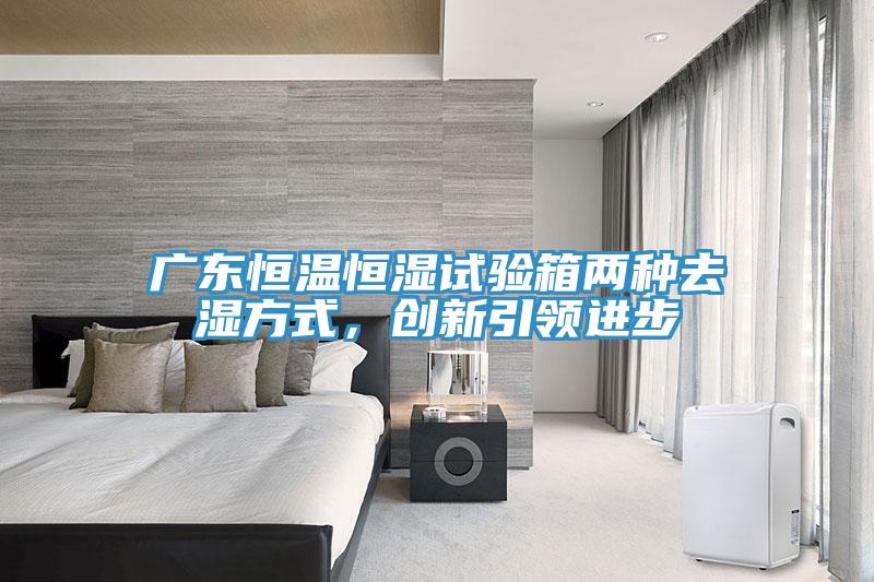 廣東恒溫恒濕試驗箱兩種去濕方式，創新引領進步