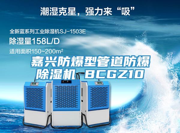 嘉興防爆型管道防爆草莓视频污污污污 BCGZ10