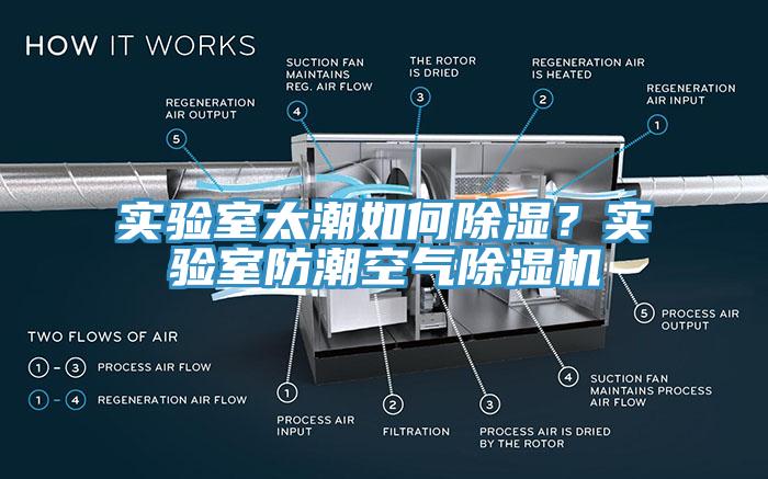 實驗室太潮如何除濕？實驗室防潮空氣草莓视频污污污污