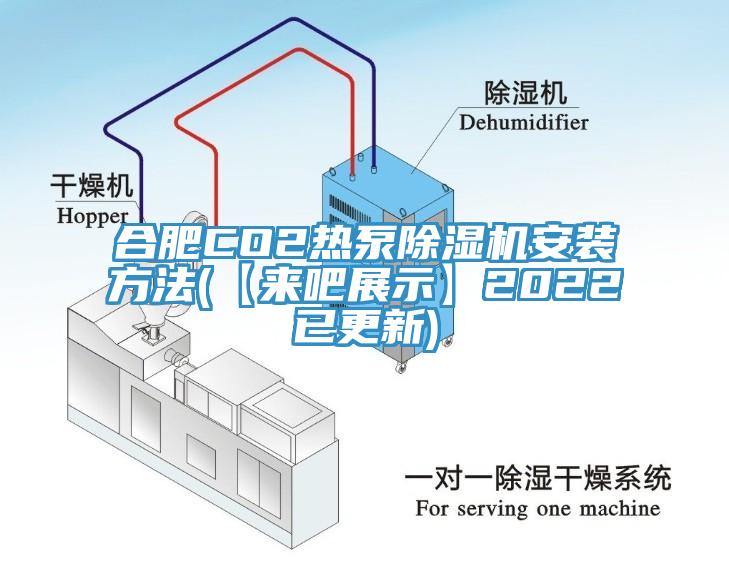 合肥CO2熱泵草莓视频污污污污安裝方法(【來吧展示】2022已更新)