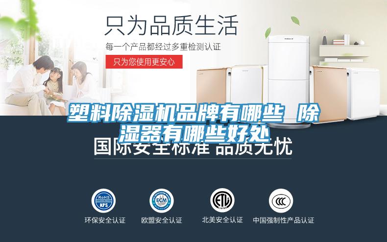 塑料草莓视频污污污污品牌有哪些 除濕器有哪些好處