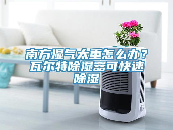 南方濕氣太重怎麽辦？瓦爾特除濕器可快速除濕