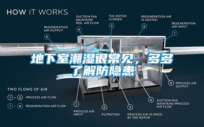 地下室潮濕很常見，多多了解防隱患
