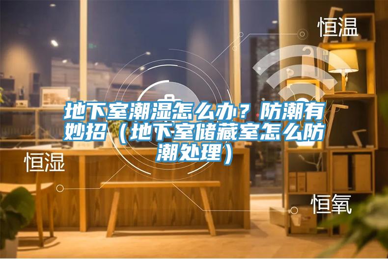 地下室潮濕怎麽辦？防潮有妙招（地下室儲藏室怎麽防潮處理）