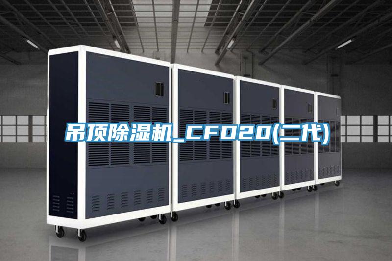 吊頂草莓视频污污污污_CFD20(二代)