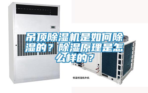 吊頂草莓视频污污污污是如何除濕的？除濕原理是怎麽樣的？