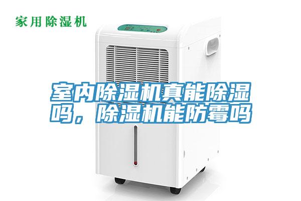 室內草莓视频污污污污真能除濕嗎，草莓视频污污污污能防黴嗎