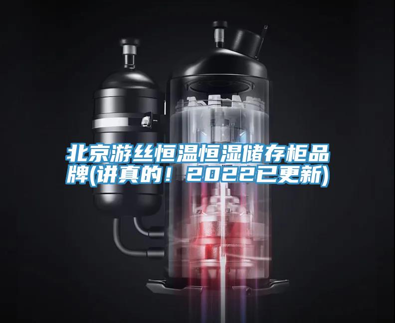 北京遊絲恒溫恒濕儲存櫃品牌(講真的！2022已更新)