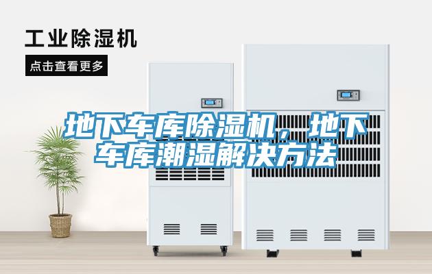 地下車庫草莓视频污污污污，地下車庫潮濕解決方法