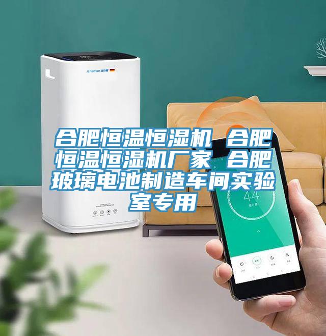 合肥恒溫恒濕機 合肥恒溫恒濕機廠家 合肥玻璃電池製造車間實驗室專用