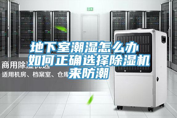 地下室潮濕怎麽辦 如何正確選擇草莓视频污污污污來防潮