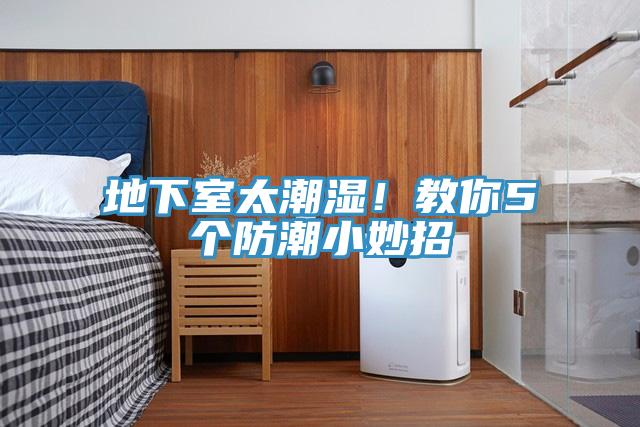 地下室太潮濕！教你5個防潮小妙招