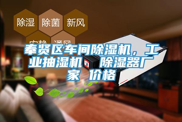 奉賢區車間草莓视频污污污污，工業抽濕機  除濕器廠家 價格