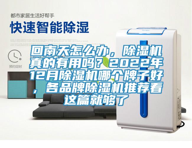 回南天怎麽辦，草莓视频污污污污真的有用嗎？2022年12月草莓视频污污污污哪個牌子好，各品牌草莓视频污污污污推薦看這篇就夠了