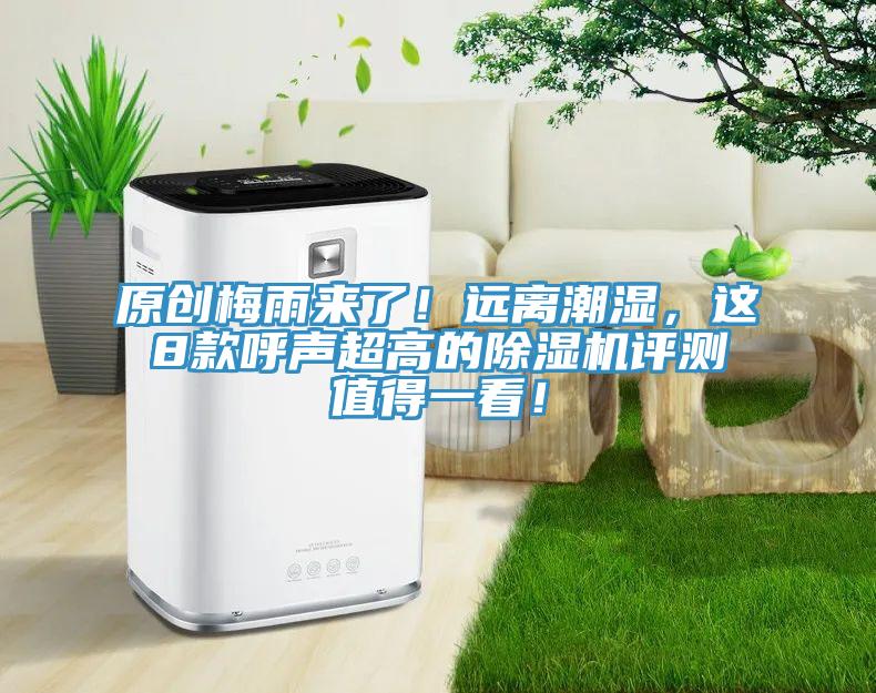 原創梅雨來了！遠離潮濕，這8款呼聲超高的草莓视频污污污污評測值得一看！