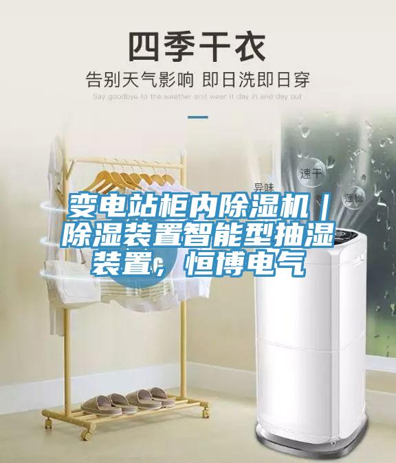 變電站櫃內草莓视频污污污污｜除濕裝置智能型抽濕裝置，恒博電氣