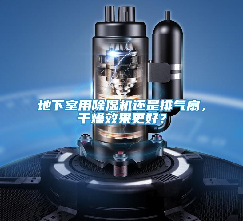 地下室用草莓视频污污污污還是排氣扇，幹燥效果更好？