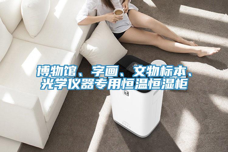 博物館、字畫、文物標本、光學儀器專用恒溫恒濕櫃