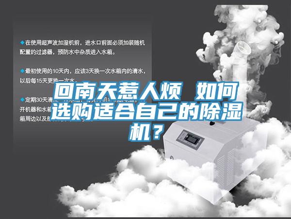 回南天惹人煩 如何選購適合自己的草莓视频污污污污？