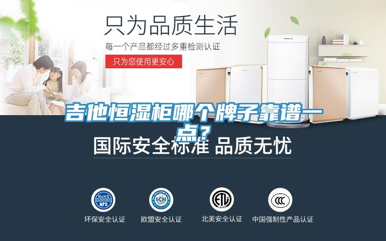 吉他恒濕櫃哪個牌子靠譜一點？