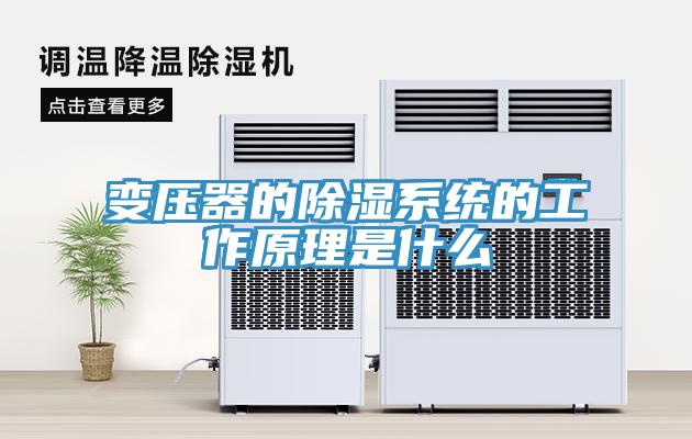 變壓器的除濕係統的工作原理是什麽