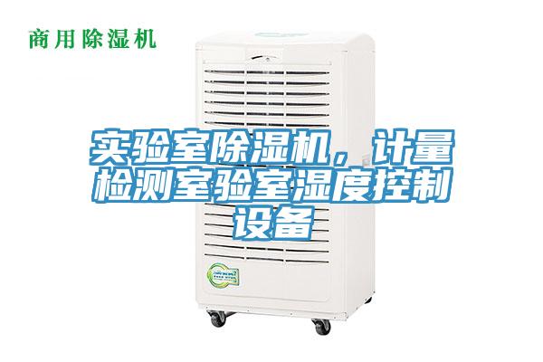實驗室草莓视频污污污污，計量檢測室驗室濕度控製設備