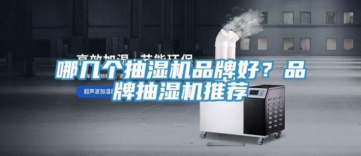 哪幾個抽濕機品牌好？品牌抽濕機推薦