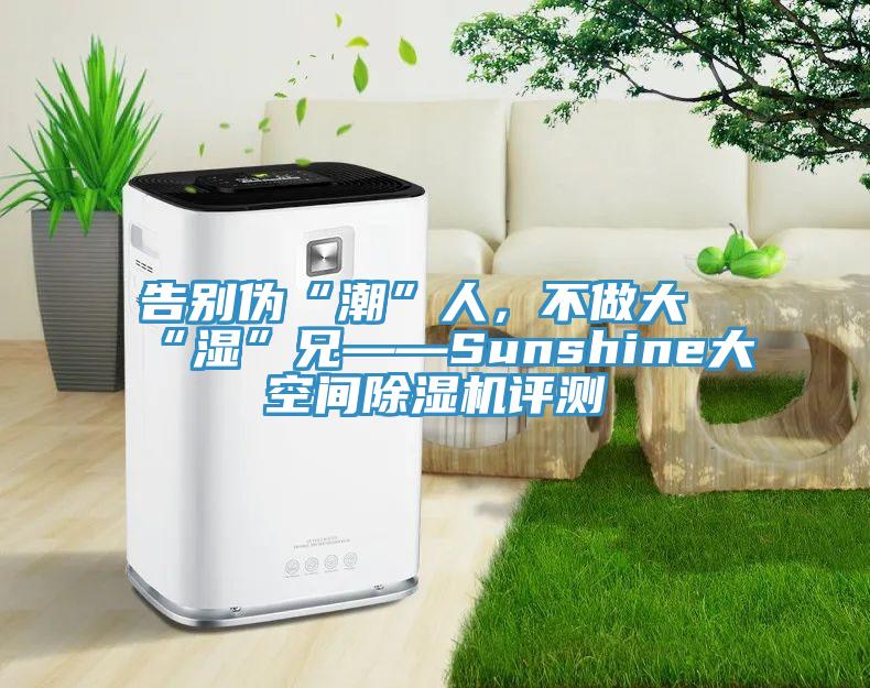 告別偽“潮”人，不做大“濕”兄——Sunshine大空間草莓视频污污污污評測