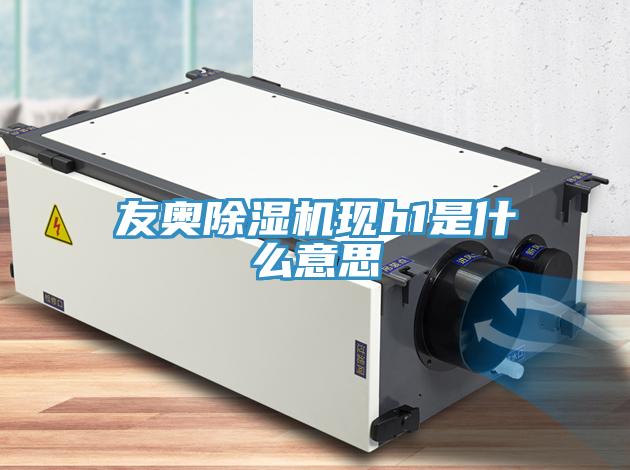友奧草莓视频污污污污現h1是什麽意思