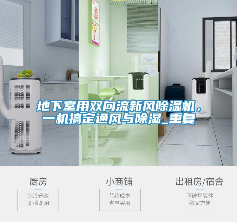 地下室用雙向流新風草莓视频污污污污，一機搞定通風與除濕_重複