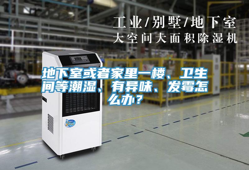地下室或者家裏一樓、衛生間等潮濕、有異味、發黴怎麽辦？