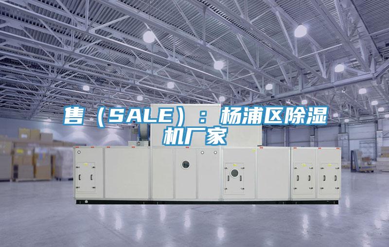 售（SALE）：楊浦區草莓视频污污污污廠家