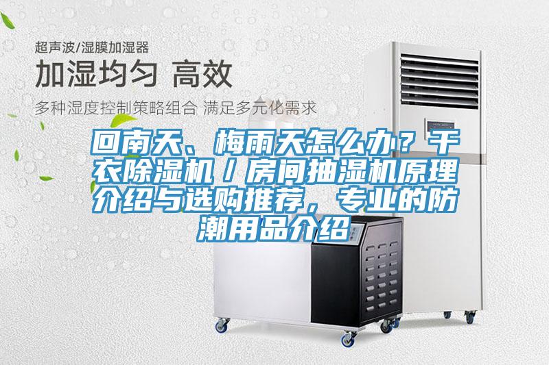 回南天、梅雨天怎麽辦？幹衣草莓视频污污污污／房間抽濕機原理介紹與選購推薦，專業的防潮用品介紹